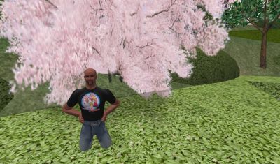 クリックでフルサイズの画像を表示